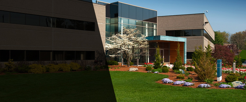 Patton Landscapers