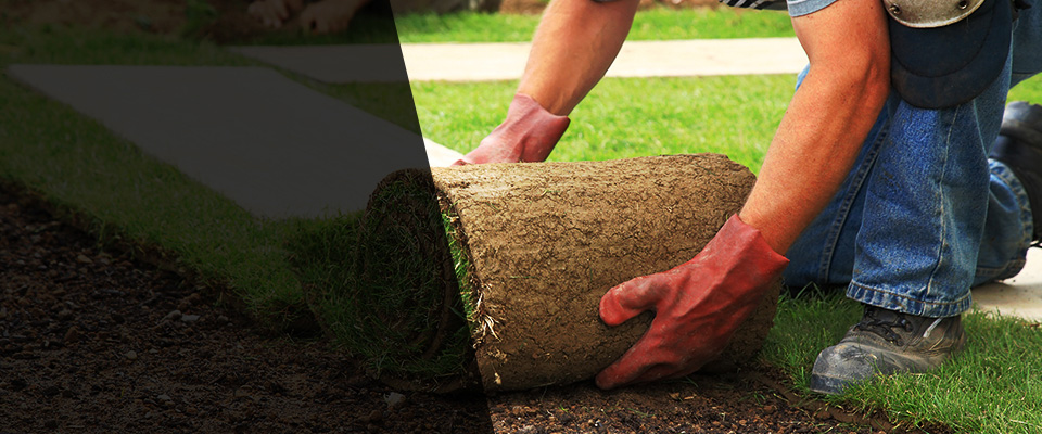 Patton Landscapers